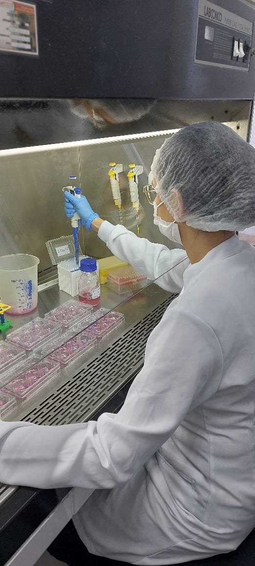 Pesquisadora pipetando amostras na cabine de segurança biológica do laboratório